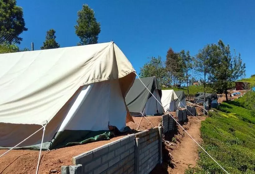 ホテル Janardan Tea Resort   Campsite