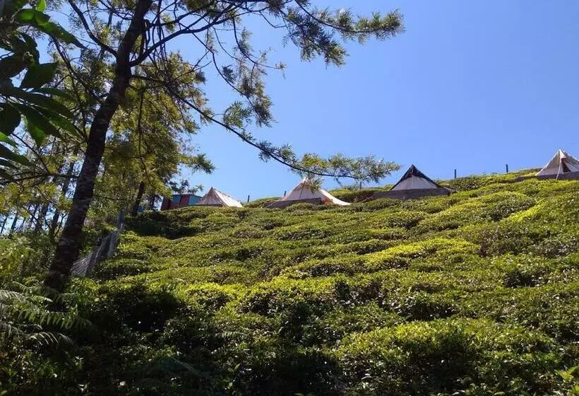 ホテル Janardan Tea Resort   Campsite