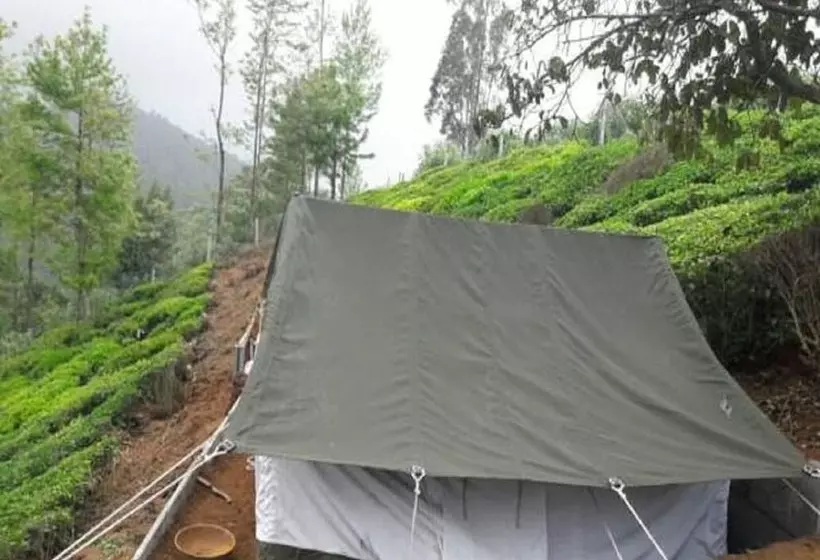 ホテル Janardan Tea Resort   Campsite