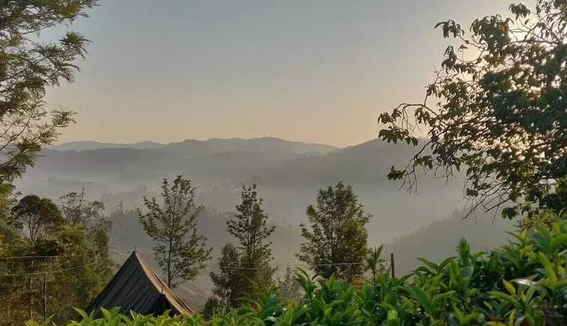 ホテル Janardan Tea Resort   Campsite