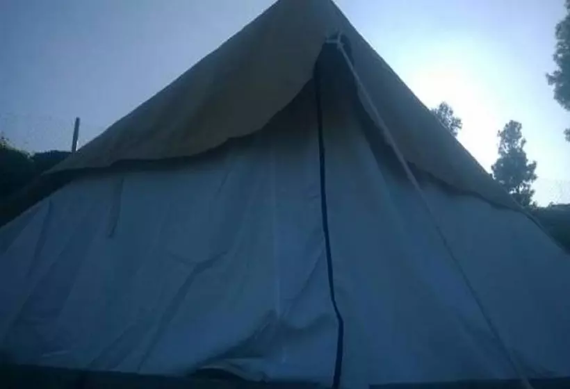 ホテル Janardan Tea Resort   Campsite