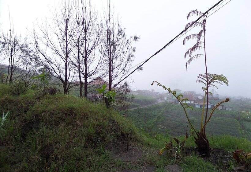 ホテル Pondok Wisata Adas