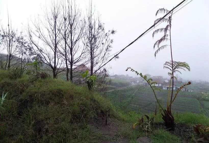 Hotelli Pondok Wisata Adas