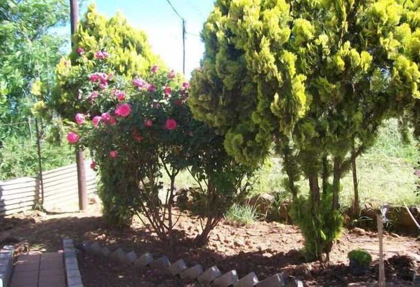 بنسيون Aligeo Guest House