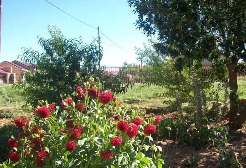 Majatalo Aligeo Guest House