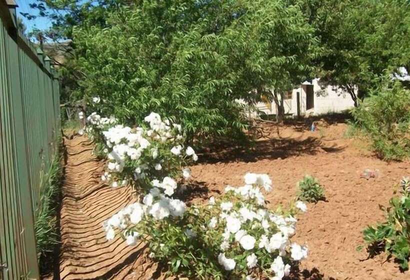 بنسيون Aligeo Guest House