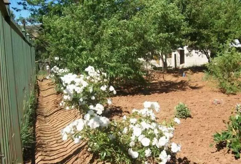 Majatalo Aligeo Guest House