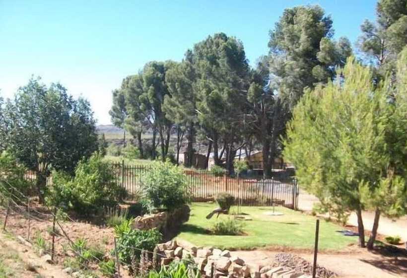 بنسيون Aligeo Guest House