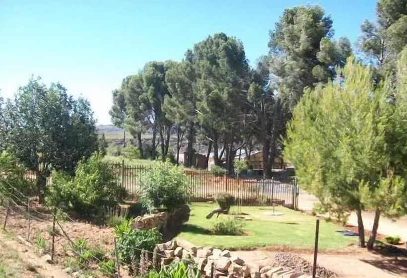 Majatalo Aligeo Guest House