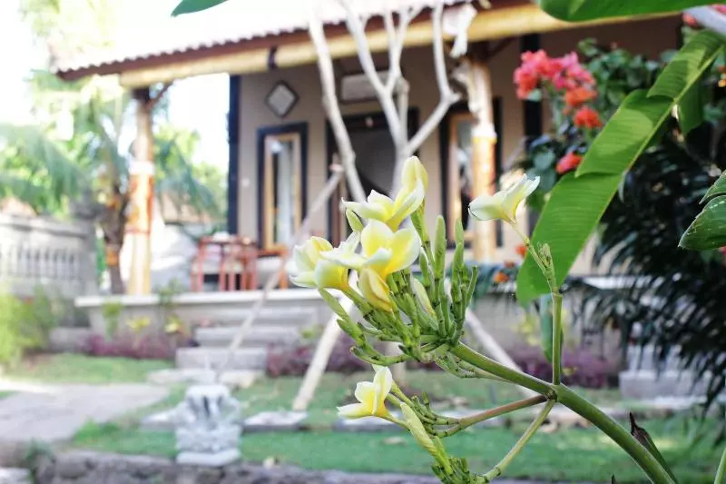 Majatalo The Banyan Menjangan