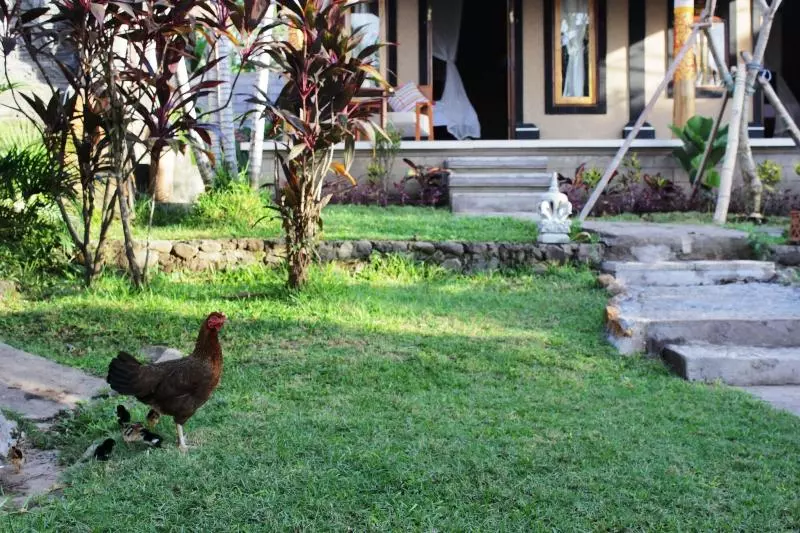 Majatalo The Banyan Menjangan