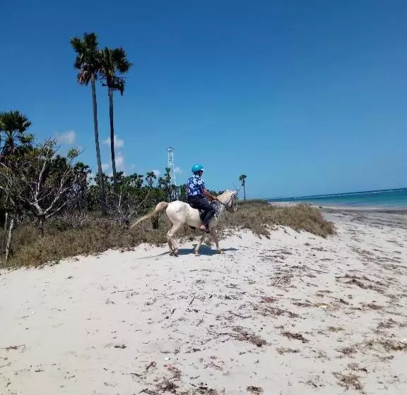 Retkeilymaja Wajonata Sumba