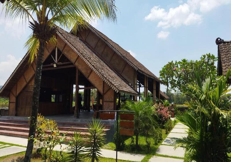 Borobudur Bed & Breakfast   Hostel