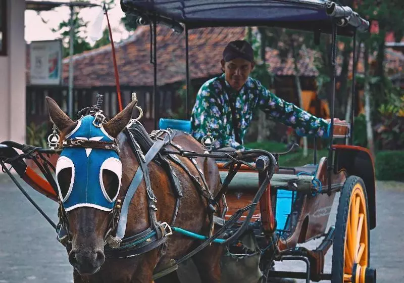 Borobudur Bed & Breakfast   Hostel