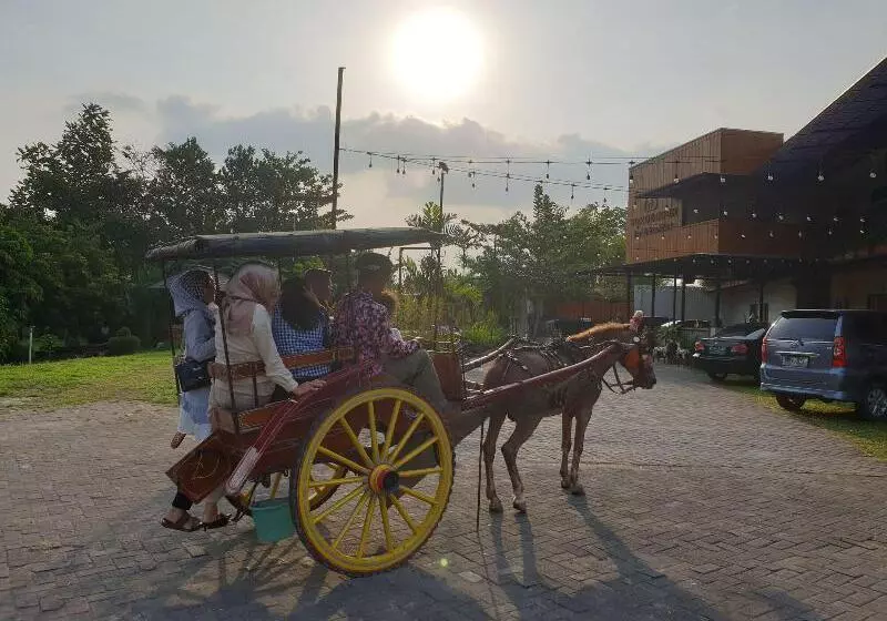 Borobudur Bed & Breakfast   Hostel