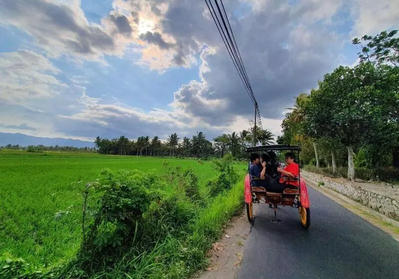 Borobudur Bed & Breakfast   Hostel