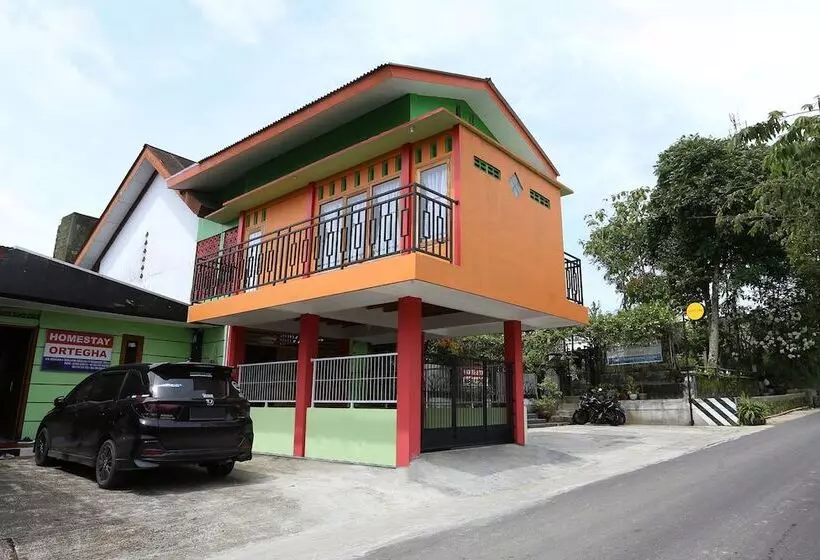 Ostello Spot On 2514 Homestay Ortegha