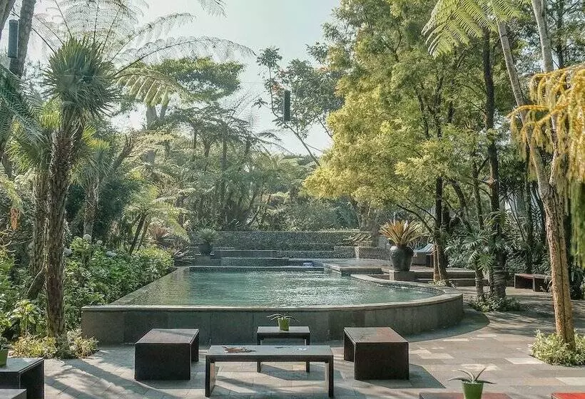 Aamiaismajoitus (B&B) Amaryllis Boutique Resort