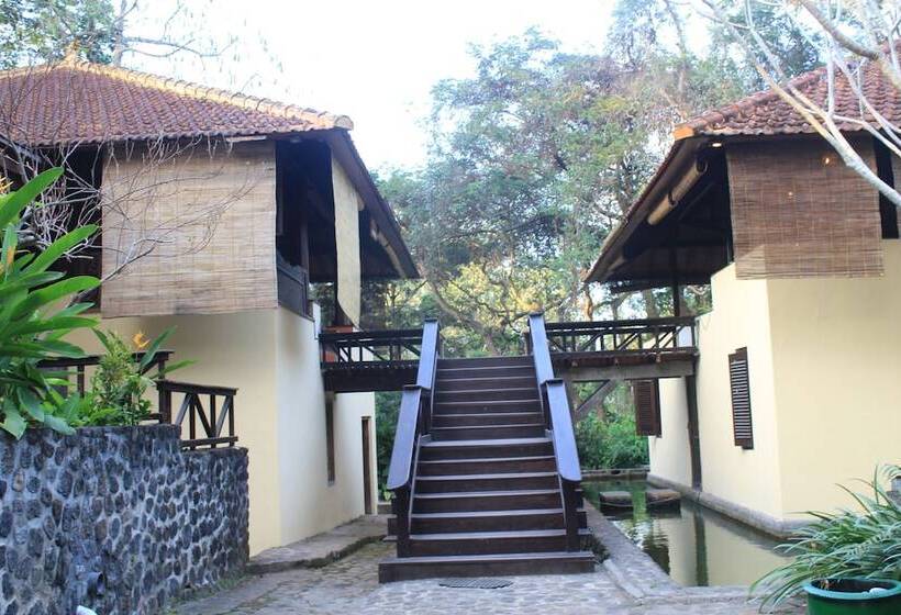 Nocleg ze śniadaniem Ecolodge Seloliman