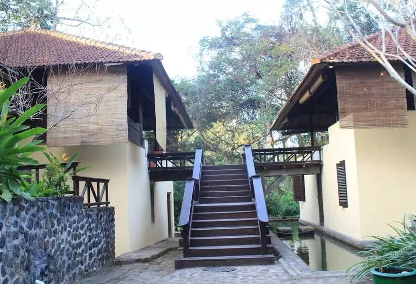 Bed and Breakfast Ecolodge Seloliman