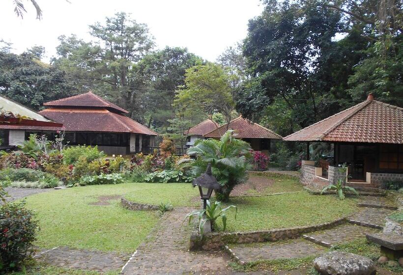 Nocleg ze śniadaniem Ecolodge Seloliman