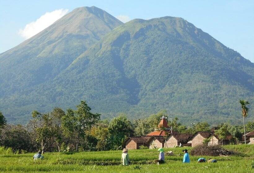 Nocleg ze śniadaniem Ecolodge Seloliman