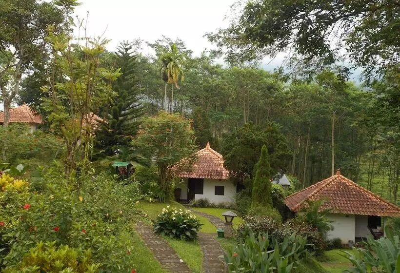 Bed and Breakfast Ecolodge Seloliman