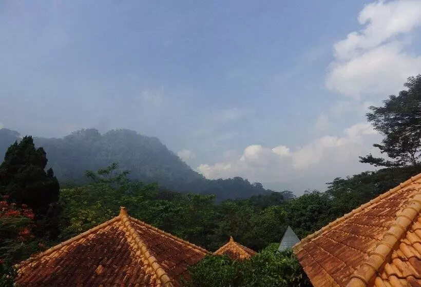 Bed and Breakfast Ecolodge Seloliman