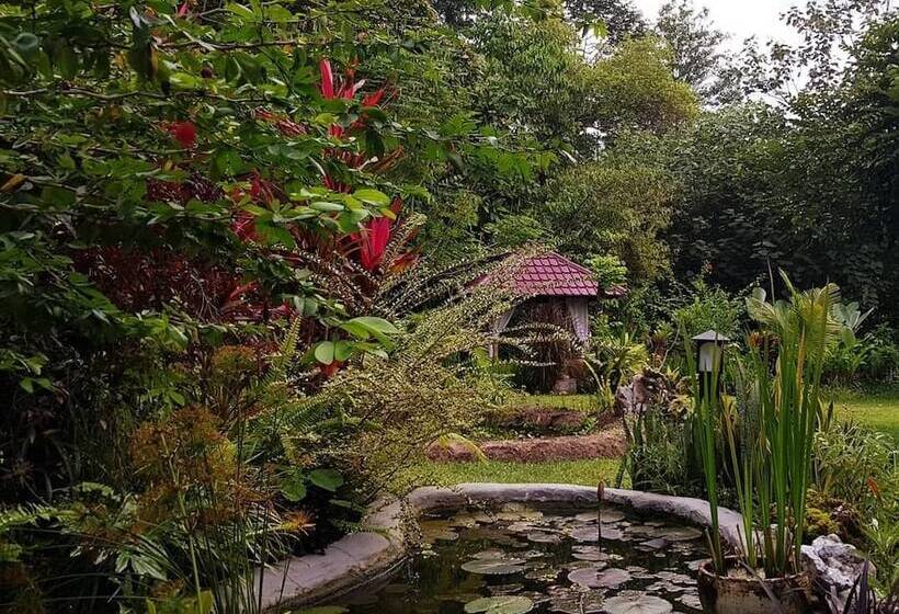 민박 Thousand Hills Ketambe ,room And Treking