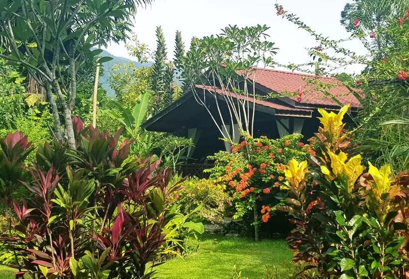 Aamiaismajoitus (B&B) Thousand Hills Ketambe ,room And Treking