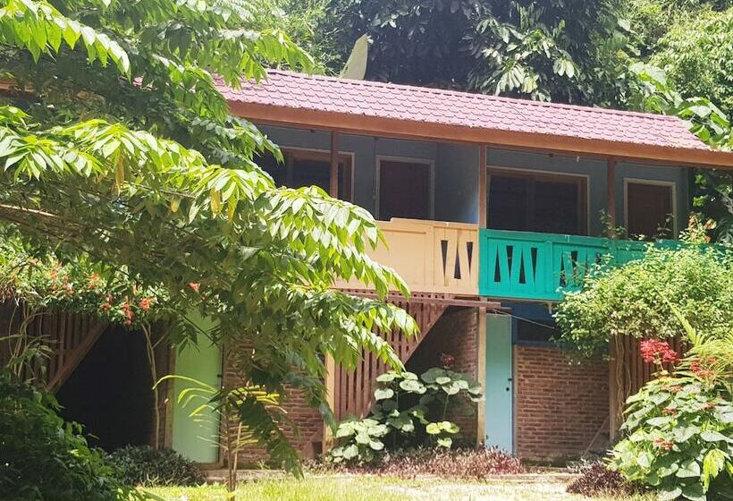 민박 Thousand Hills Ketambe ,room And Treking