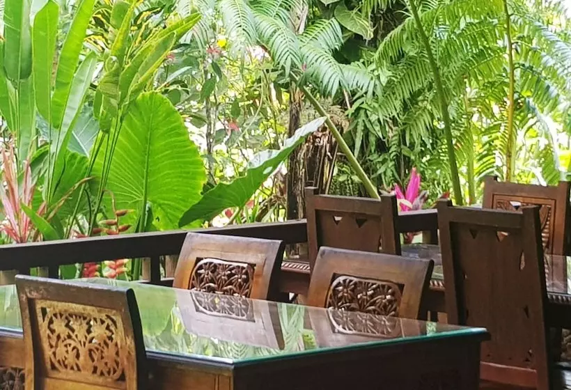 Aamiaismajoitus (B&B) Thousand Hills Ketambe ,room And Treking