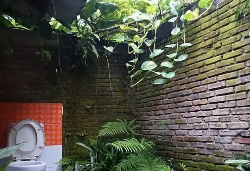 Aamiaismajoitus (B&B) Thousand Hills Ketambe ,room And Treking