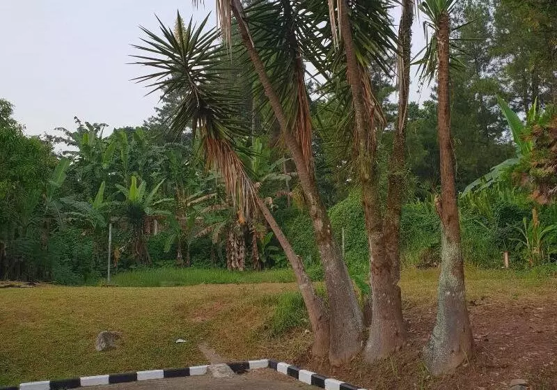 ホテル Cisarua Indah