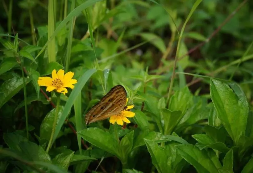ペンション Desak Putu Putra Hidden