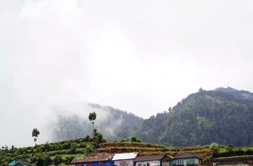 Pension Diengku Homestay