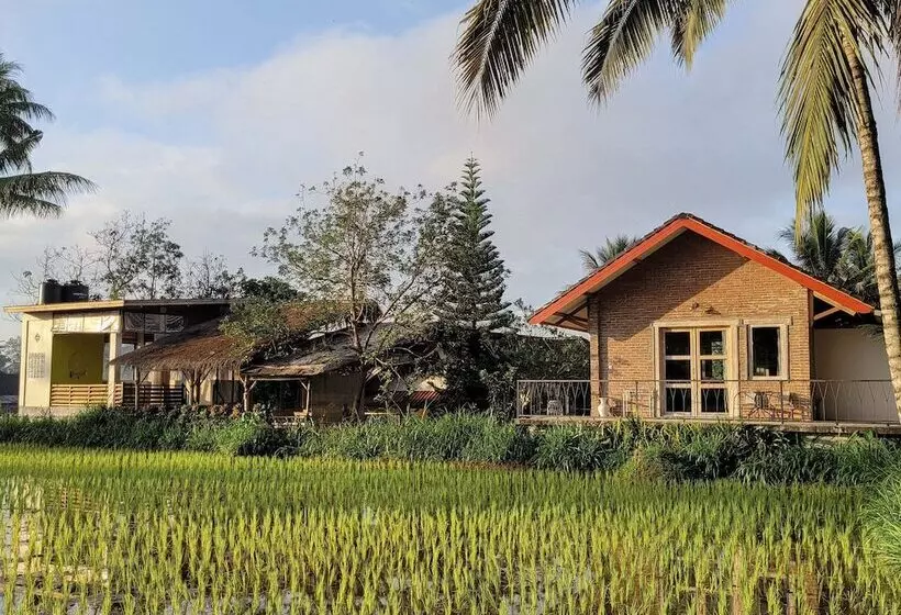 ペンション Les Rizieres Lombok Tetebatu