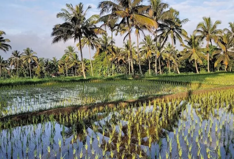 ペンション Les Rizieres Lombok Tetebatu