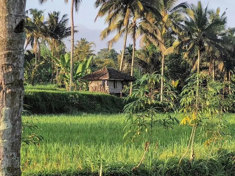 ペンション Les Rizieres Lombok Tetebatu