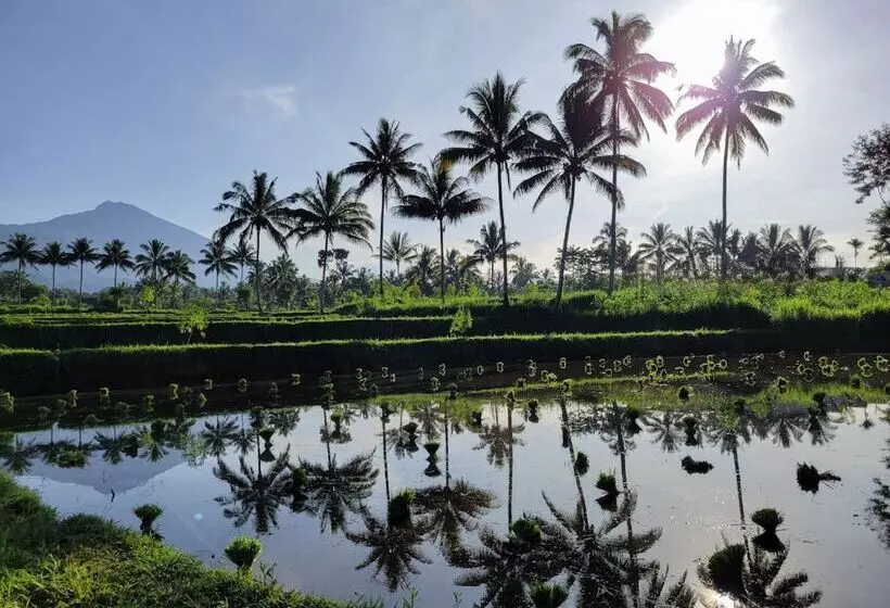 ペンション Les Rizieres Lombok Tetebatu