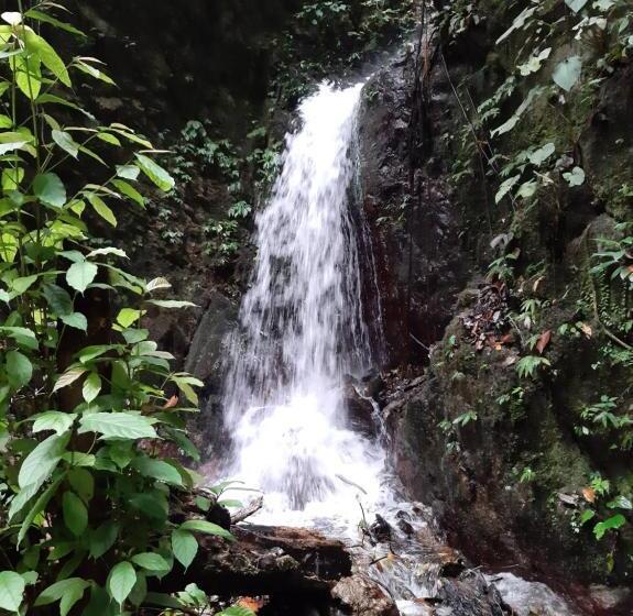 הוסטל Beach Guest House