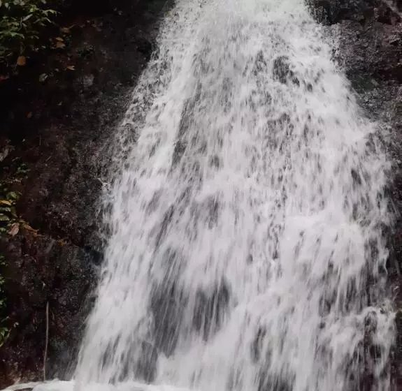 Retkeilymaja Beach Guest House