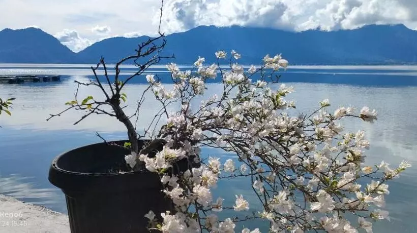 Retkeilymaja Beach Guest House