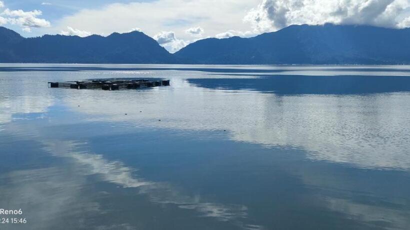 הוסטל Beach Guest House