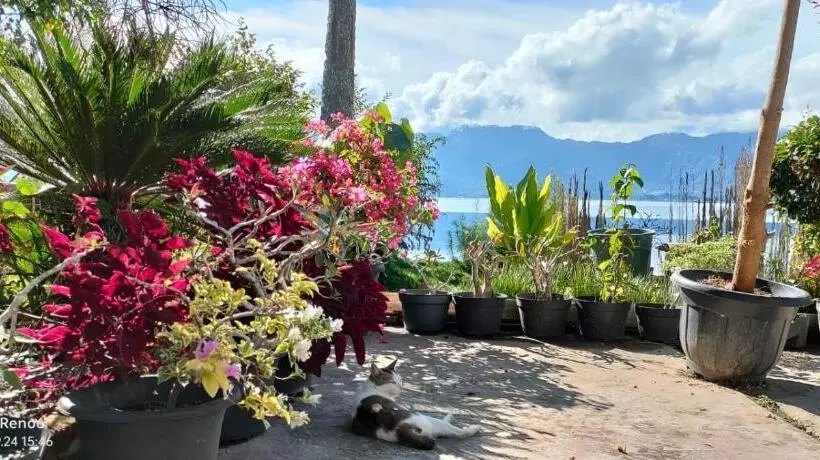 Retkeilymaja Beach Guest House