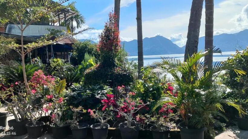 הוסטל Beach Guest House