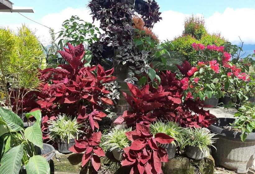 הוסטל Beach Guest House