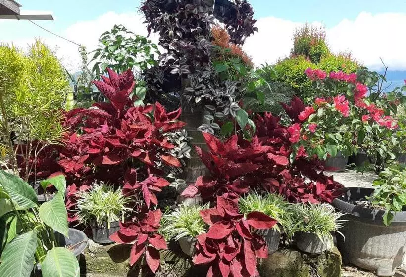 Retkeilymaja Beach Guest House