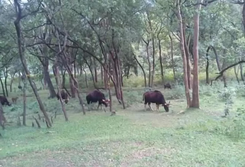 Hotelli Nexstay Ministers Mansion