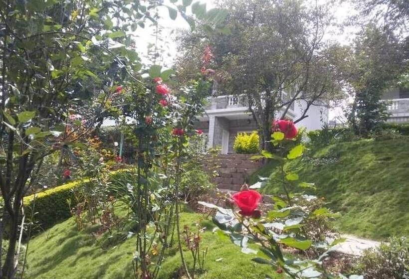 ホテル Nexstay Ministers Mansion